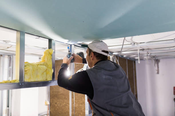 Best Spray Foam Insulation  in Pana, IL