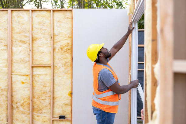 Best Insulation Repair Services  in Pana, IL