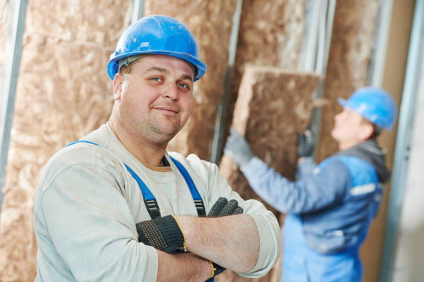 Best Insulation Inspection Services  in Pana, IL