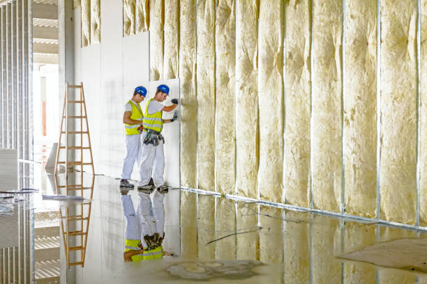 Best Local Insulation Services  in Pana, IL